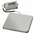 BP4548 Electronic scale Weighing range maximum 60 kg